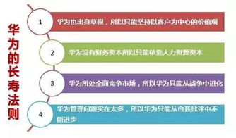 世界500强排名83位 论华为成功之道的财务智慧